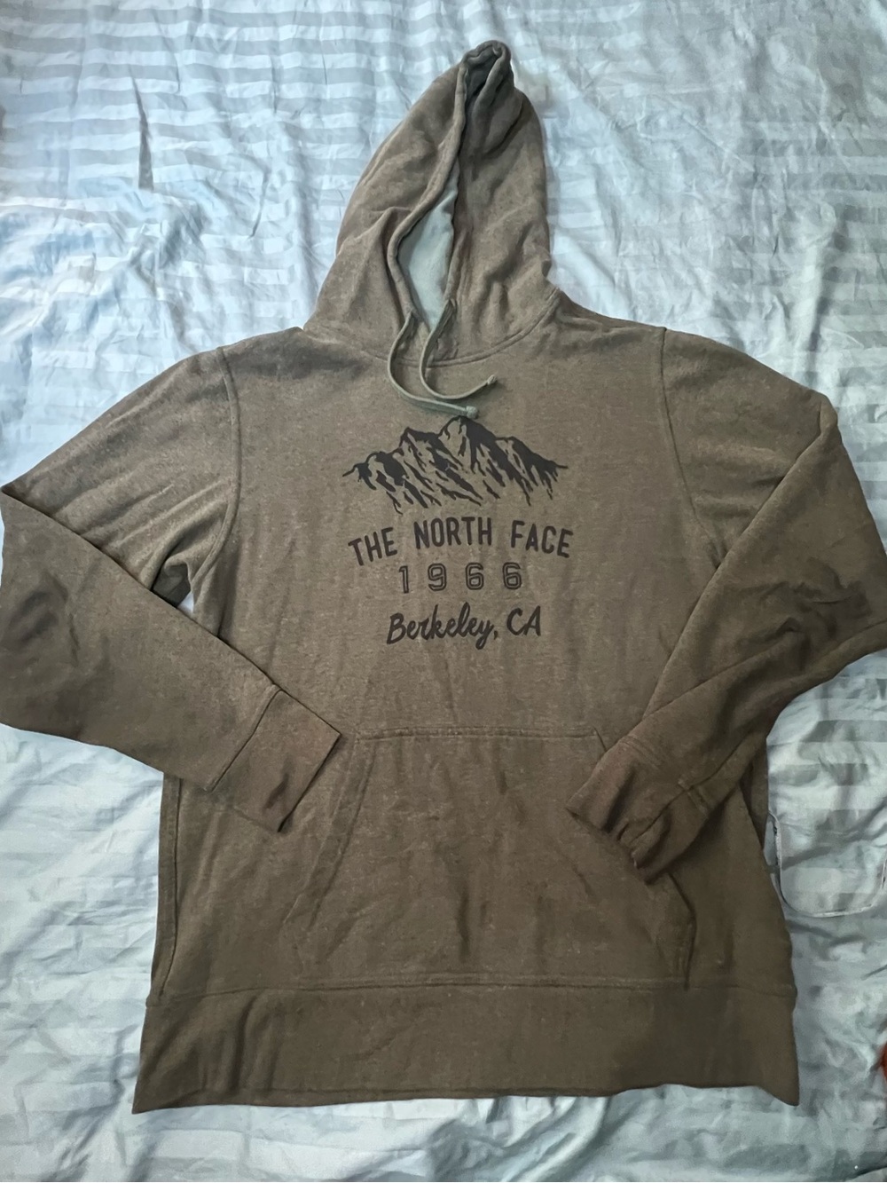 The North Face Men's Green Hoodie Sweater